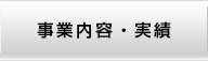 事業内容・実績